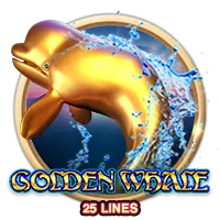 S Gw01